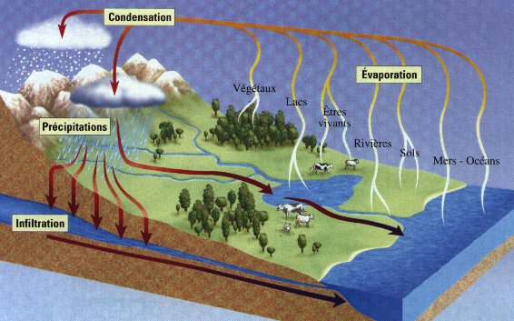 Figure 18 - Petit rappel sur le fonctionnement du cycle de l’eau