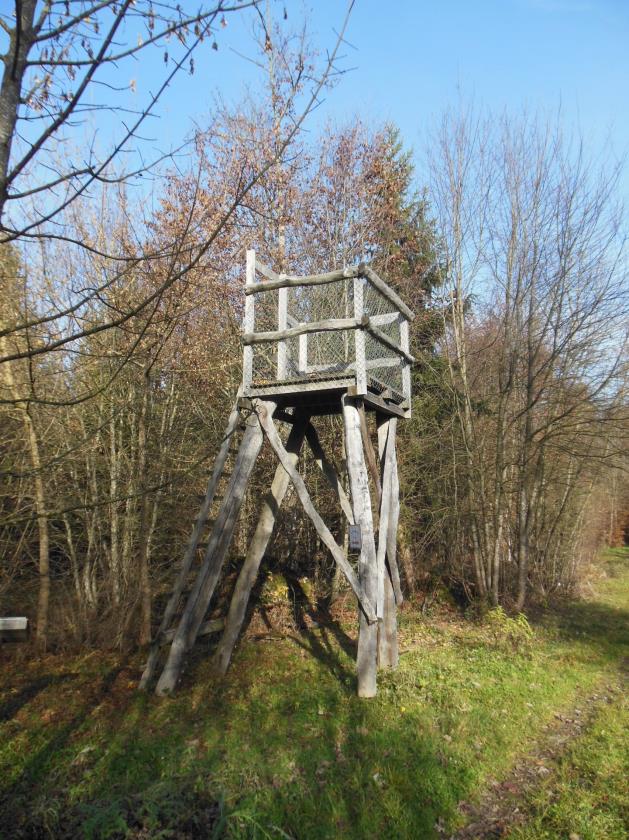 Figure 4 : Mirador sur le sentier
