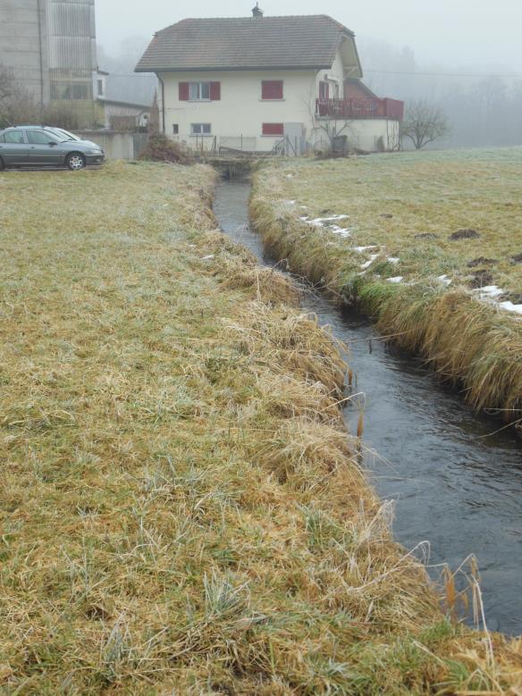 Figure12 : Le canal du Moulin-Neuf