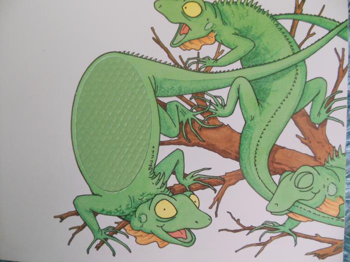 Figure 31 : peau de reptile en relief