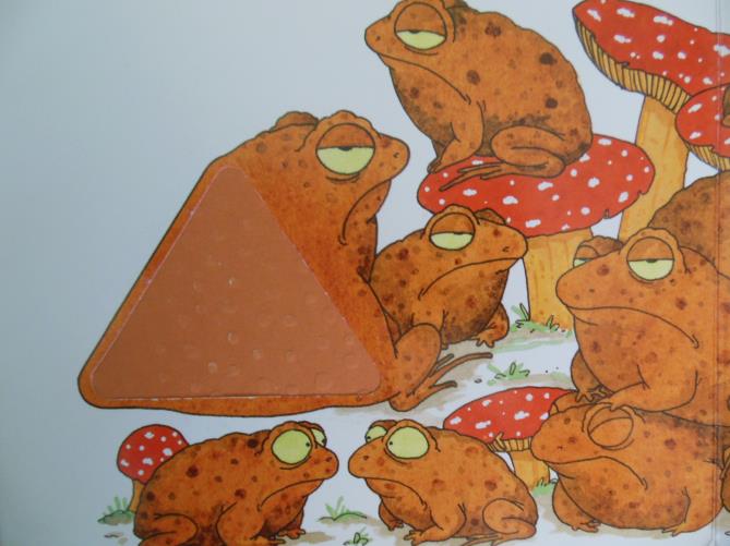 Figure 33 : peau d’amphibien