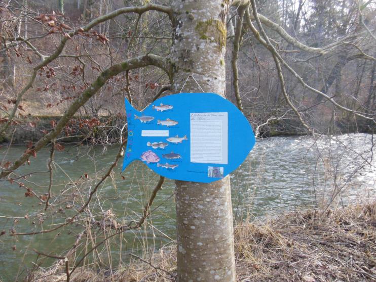 Figure 41 : panneau du poste 6