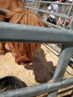 Photo Estavayer 052022 10