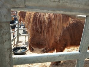 Photo Estavayer 052022 12