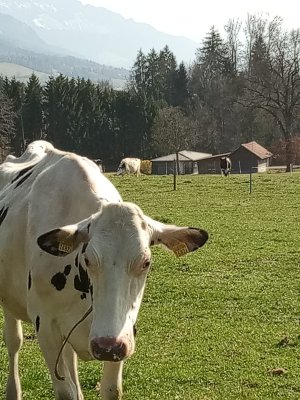 Photo IMG-20220327-WA0001