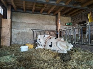 Photo IMG-20220813-WA0000