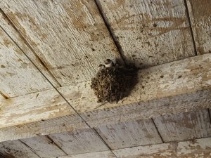 Photo IMG-20220821-WA0008