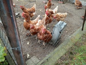 Photo IMG-20220821-WA0010