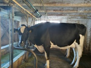 Photo IMG-20220918-WA0001