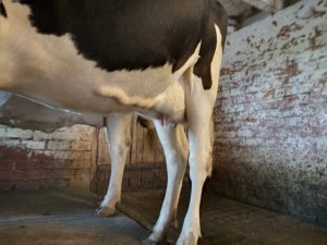 Photo IMG-20220918-WA0002