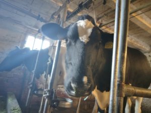 Photo IMG-20220918-WA0003