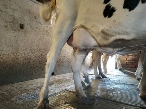 Photo IMG-20220918-WA0004