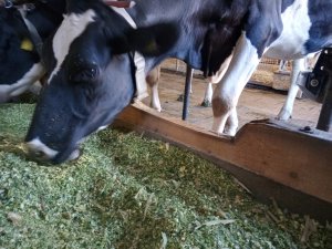 Photo IMG-20220918-WA0010