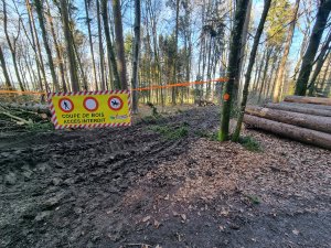 Bois de Monterban 03