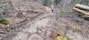 Foret Evilard 20240225 163805