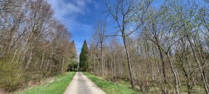 Foret Payerne 20240405 125907