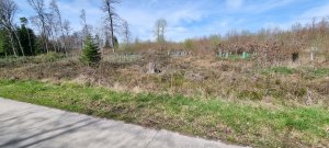 Foret Payerne 20240405 125908