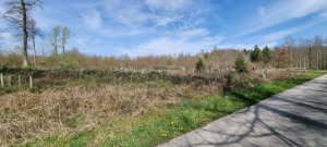 Foret Payerne 20240405 130005