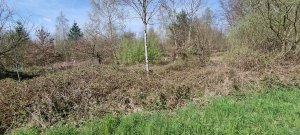 Foret Payerne 20240405 130239