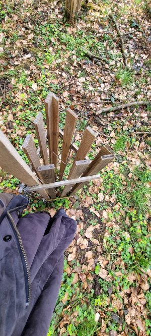 Foret Rossens 20240316 134838