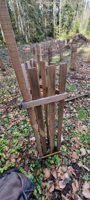 Foret Rossens 20240316 134842