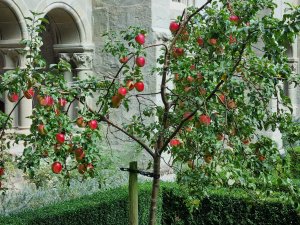 Photo Abbaye Hauterive 02