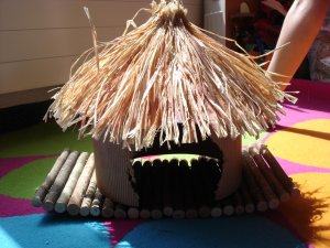 Photo Cochon d Inde 10042005 5