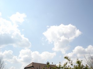 Ciel sans avions 135