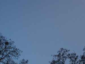 Photo Ciel sans avions 117