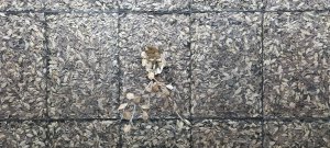 Photo Art Basel 2025 11