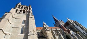 Photo 20250228 103342