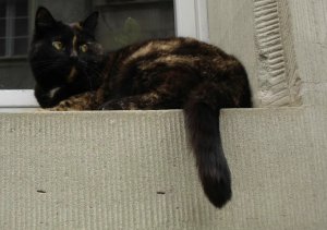 Photo Instagram archive 49