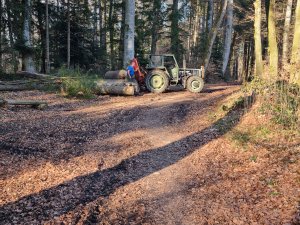 Bois de Monterban 06