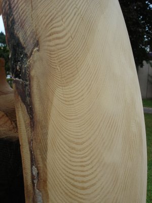 Photo Matran sculpte 2011 14