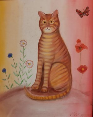 Photo 20190223 133732