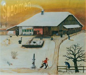 Photo nocrop 1600 gal3 18