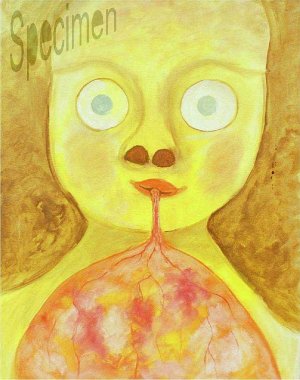 Photo nocrop 1600 gal5 10