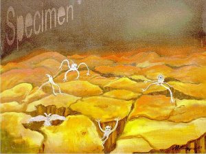 Photo nocrop 1600 gal5 15