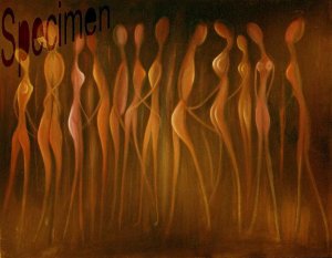 Photo nocrop 1600 gal5 17