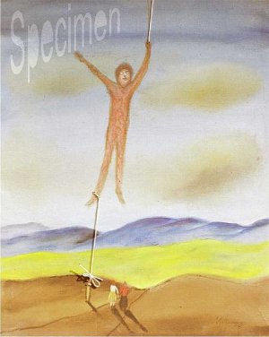 Photo nocrop 1600 gal6 07