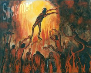 Photo nocrop 1600 gal6 14