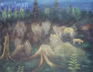 Photo nocrop 1600 gal6 20