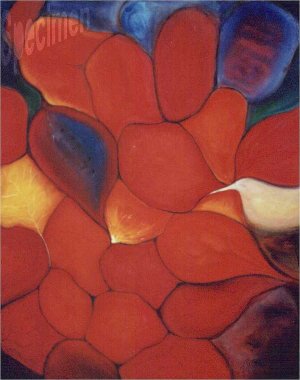 Photo nocrop 1600 gal7 03