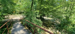 Photo 20240828 123141