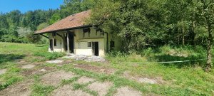 Photo 20240828 123320