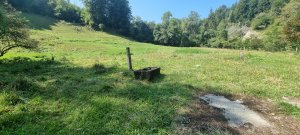 Photo 20240828 123408