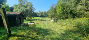 Photo 20240828 123534