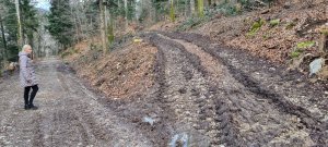 Photo Foret Evilard 20240225 161404