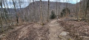 Photo Foret Evilard 20240225 163504