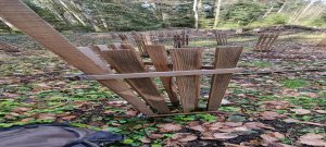 Photo Foret Rossens 20240316 134842